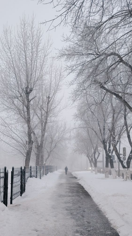 Фотография автора Анна Морозова