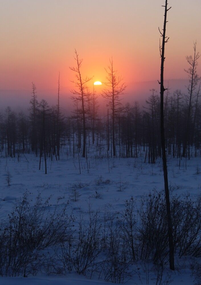 Photograph by Михаил Мархинин