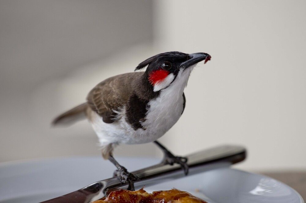 Photograph by Максим Мураков