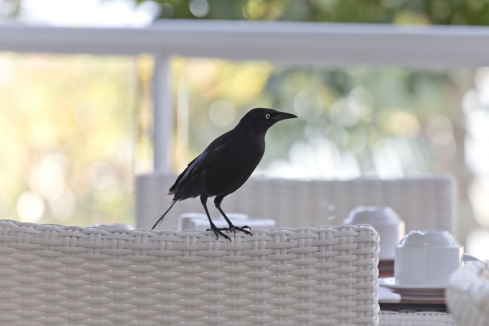 Photograph by Максим Мураков