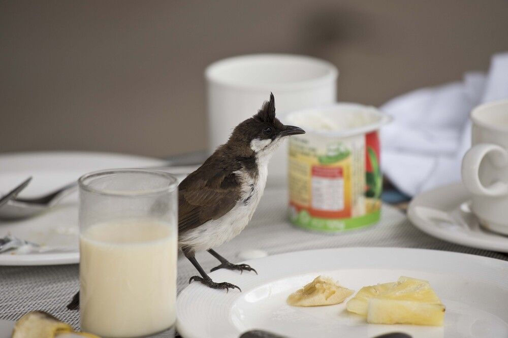 Photograph by Максим Мураков