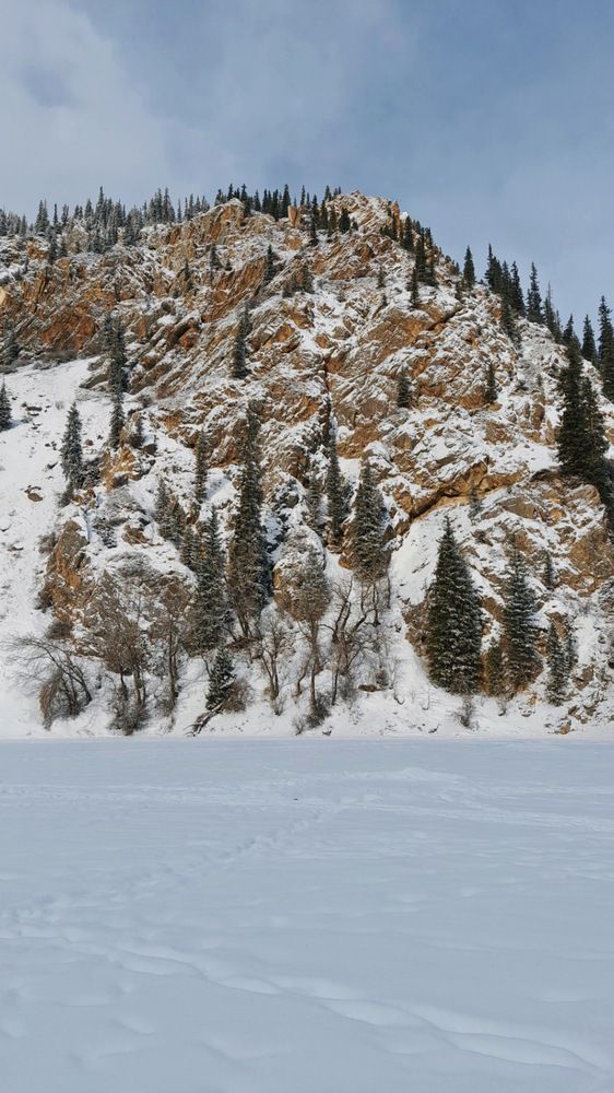 Фотография автора Анна Морозова