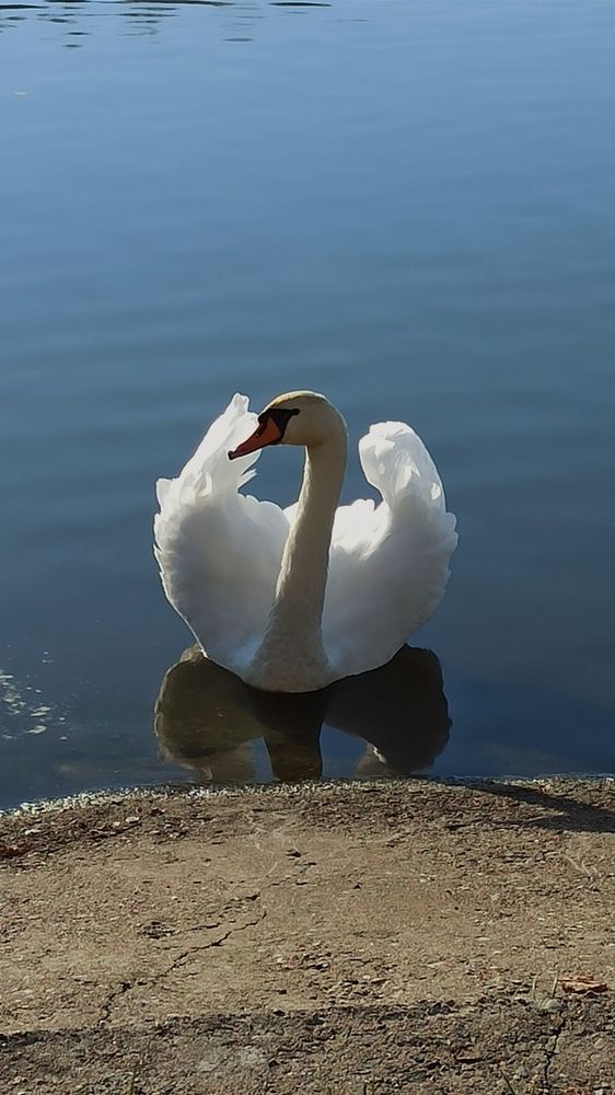 Photograph by Людмила Щуцкая