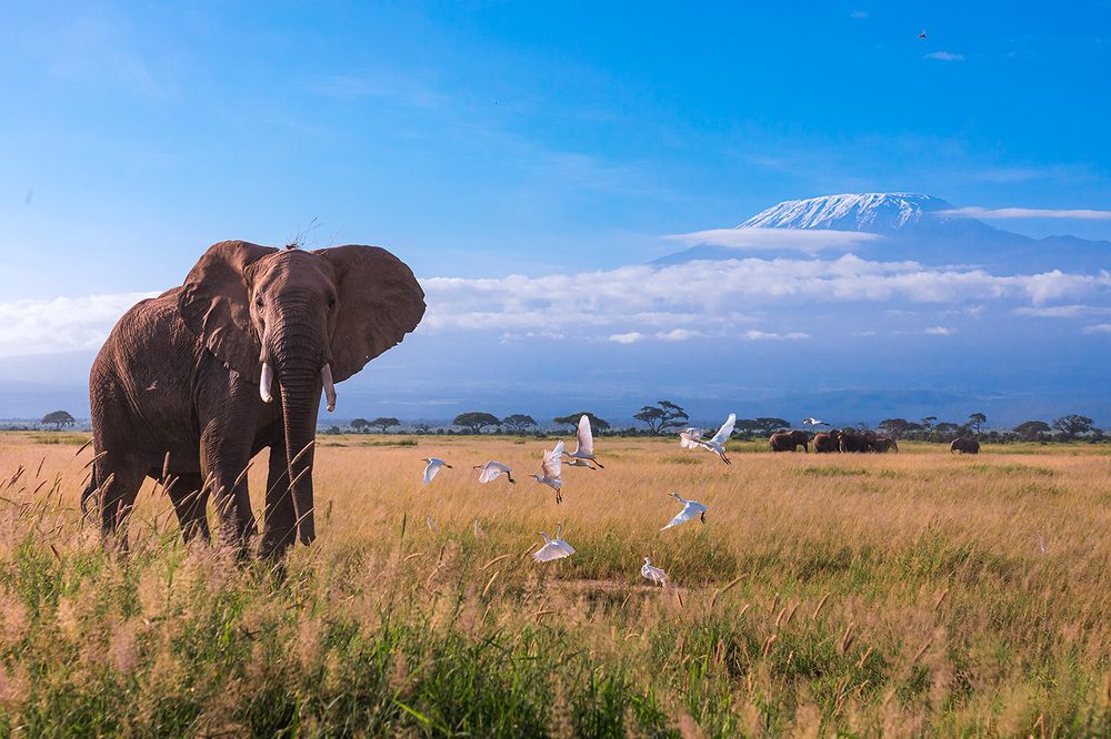 Photograph by Bhanu Kiran Botta