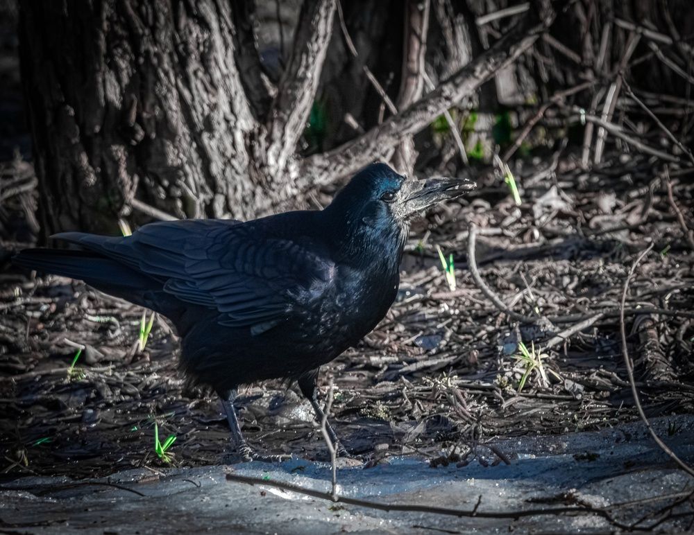 Photograph by Виктор Востриков