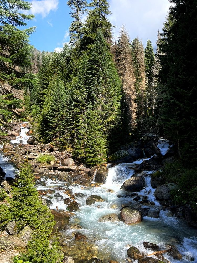 Photograph by Ярославна