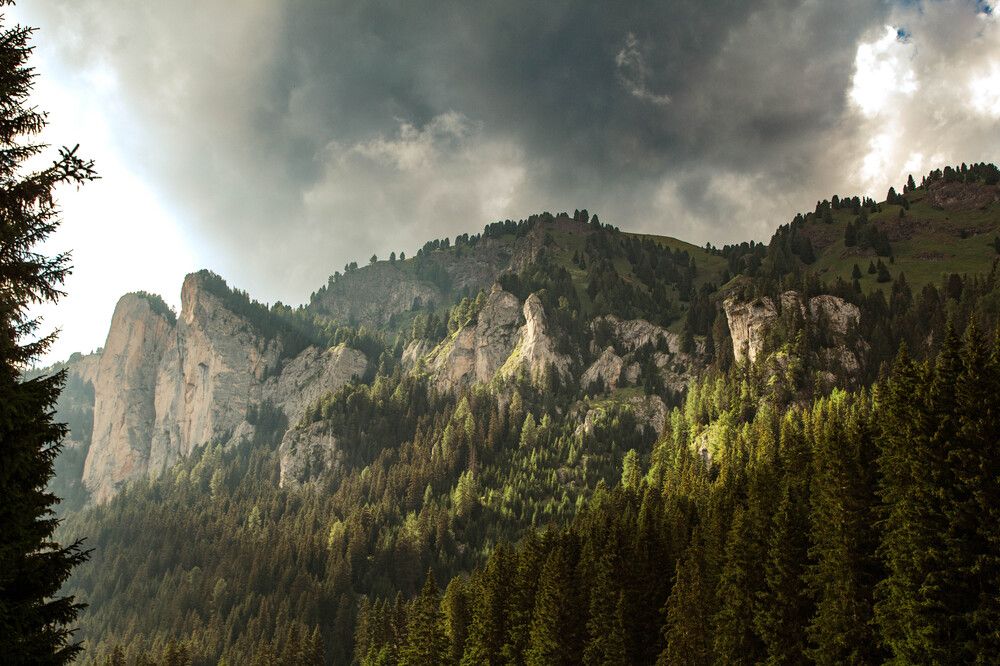 Фотография автора Aliaksandr Shautsou