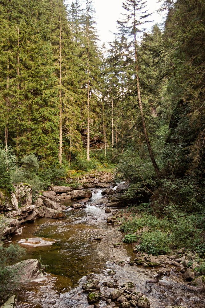 Фотография автора Aliaksandr Shautsou