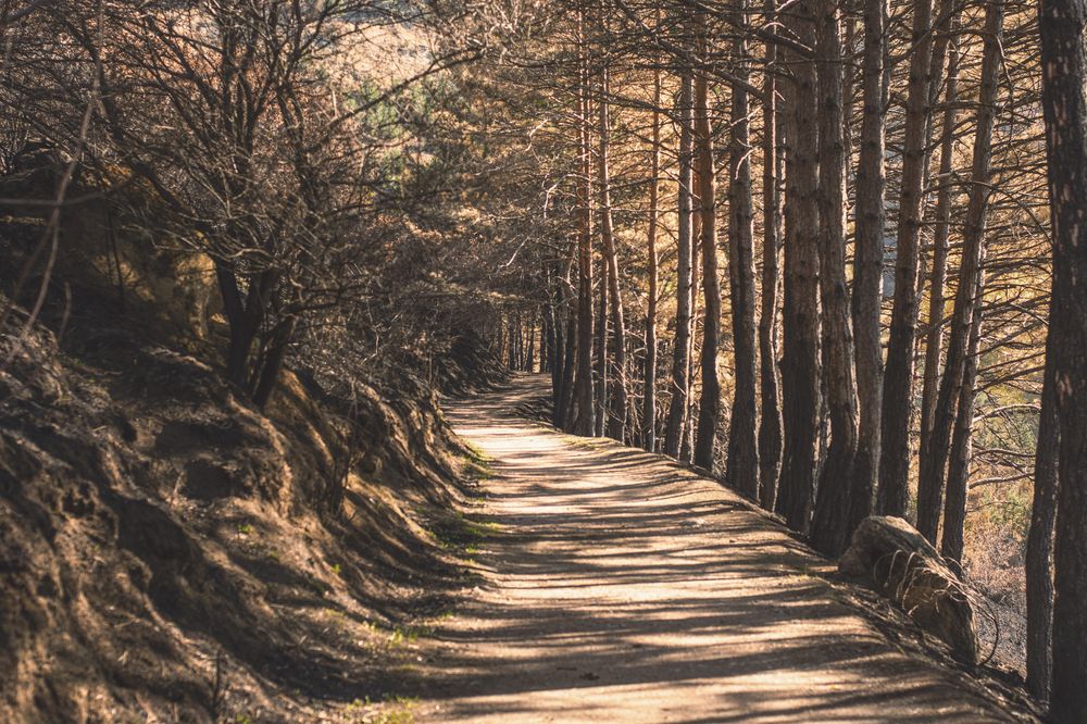 Photograph by Забудская Наталья