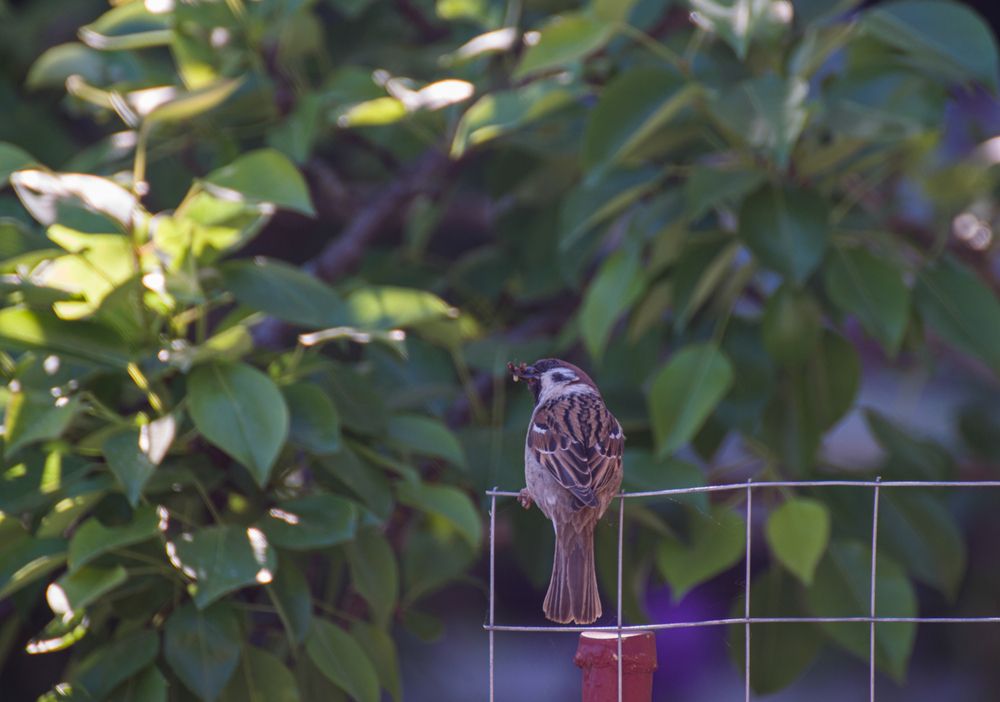 Photograph by Олег Алексеев