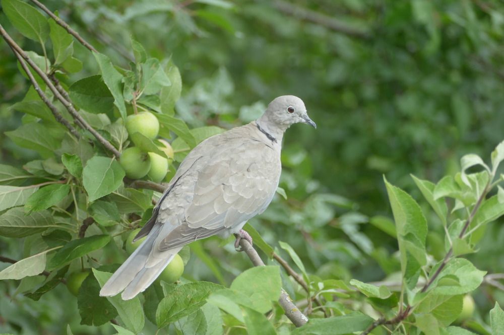 Photograph by Anastasia Perez