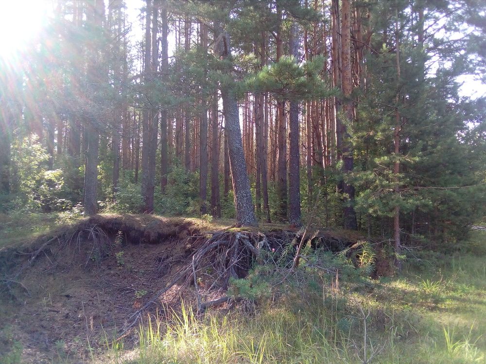 Photograph by Галина Гузова