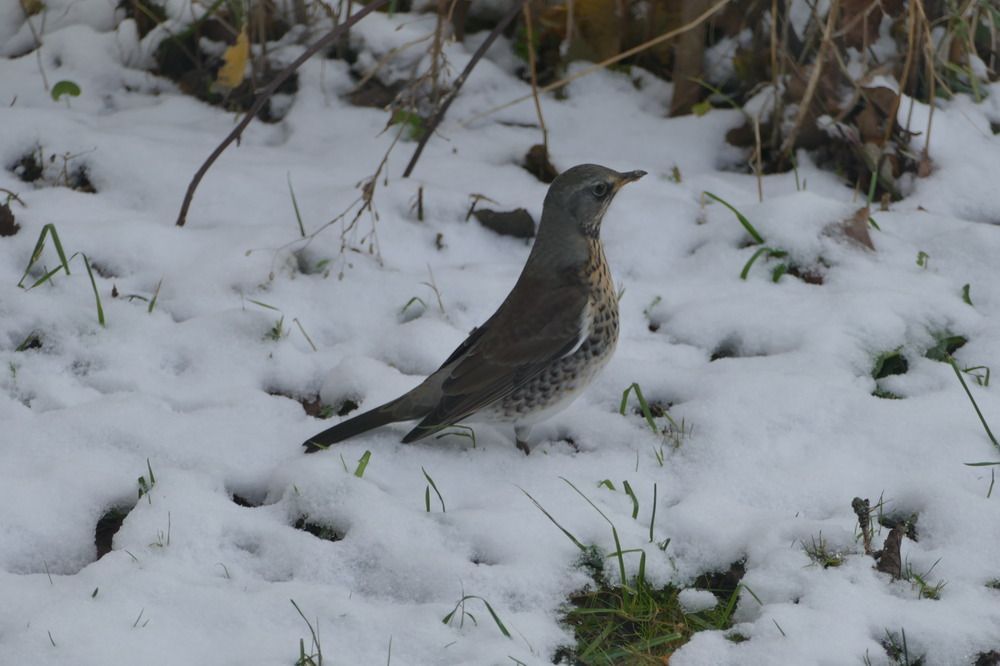 Photograph by Anastasia Perez