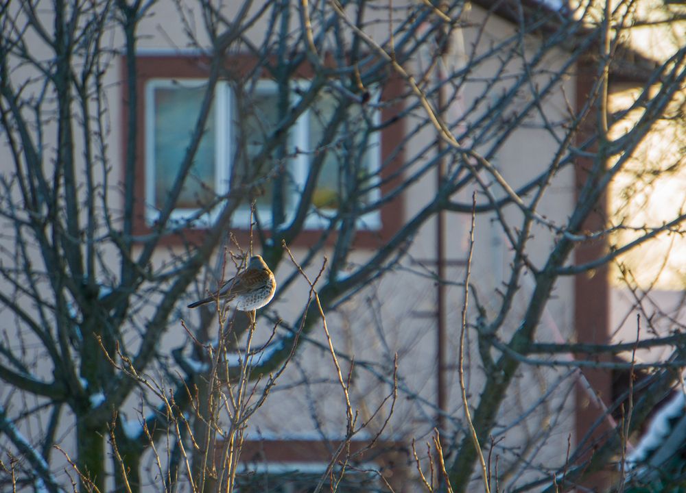 Photograph by Олег Алексеев