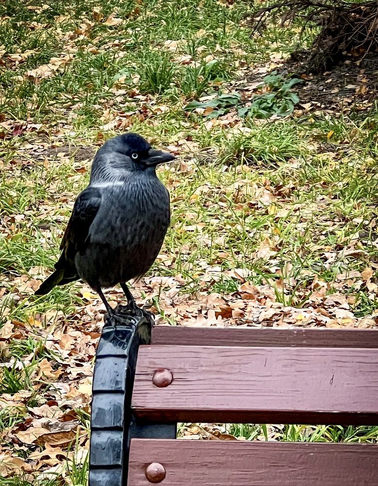 Photograph by Марина Нагичева