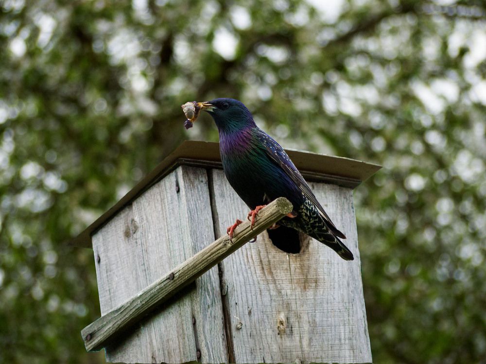 Photograph by Марина Нагичева