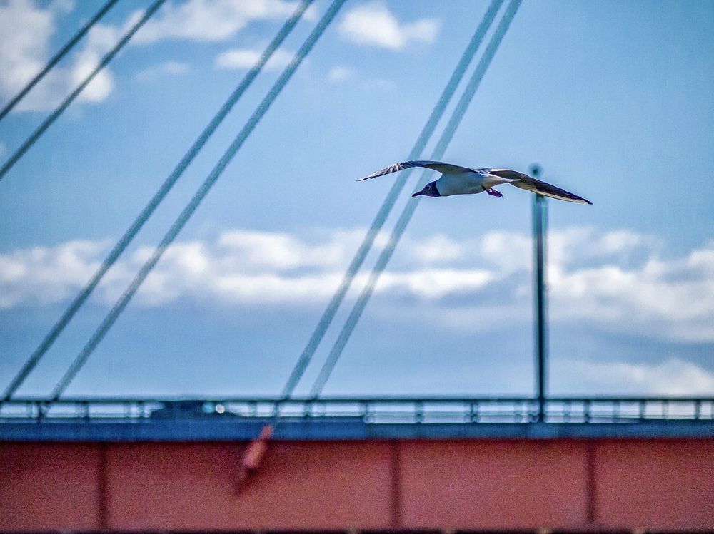 Photograph by Марина Нагичева