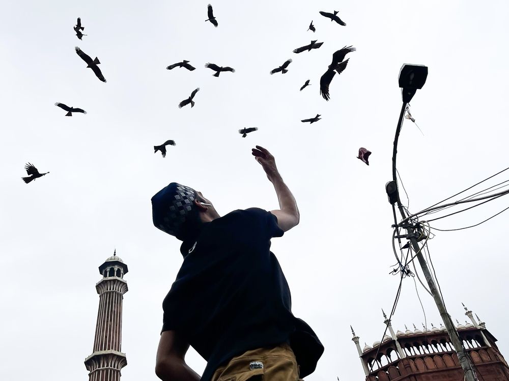 Photograph by ShahFaisal Ansari