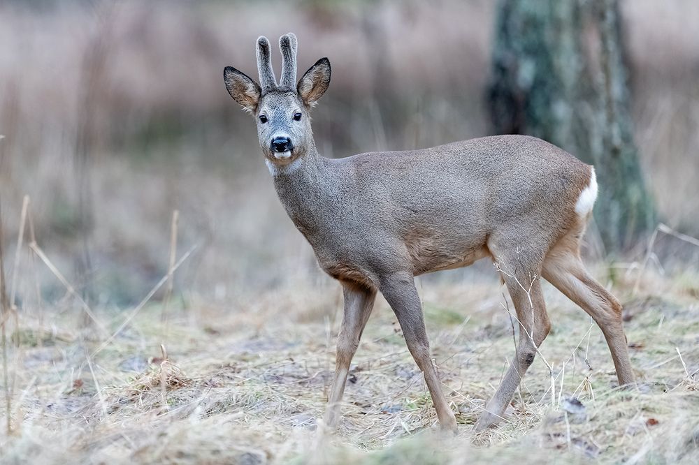 Photograph by Абросимов Александр