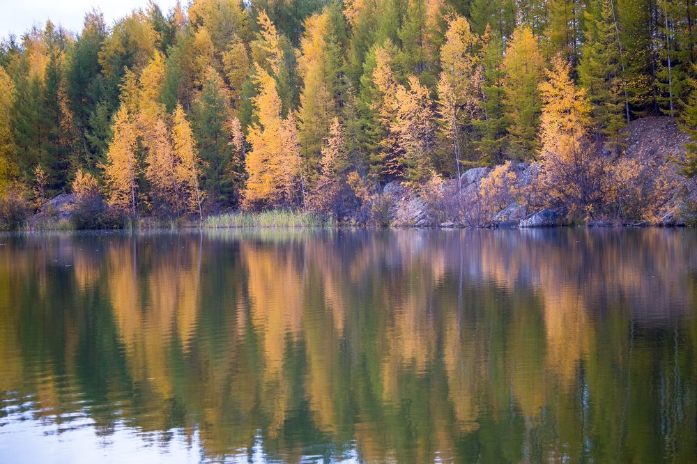 Photograph by Михаил Мархинин