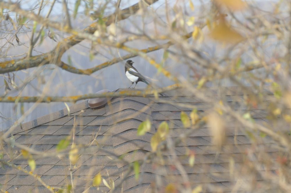 Photograph by Anastasia Perez