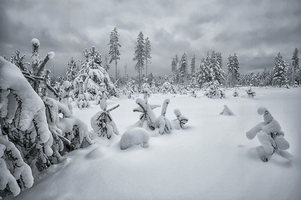 Photograph by Владимир Архипов