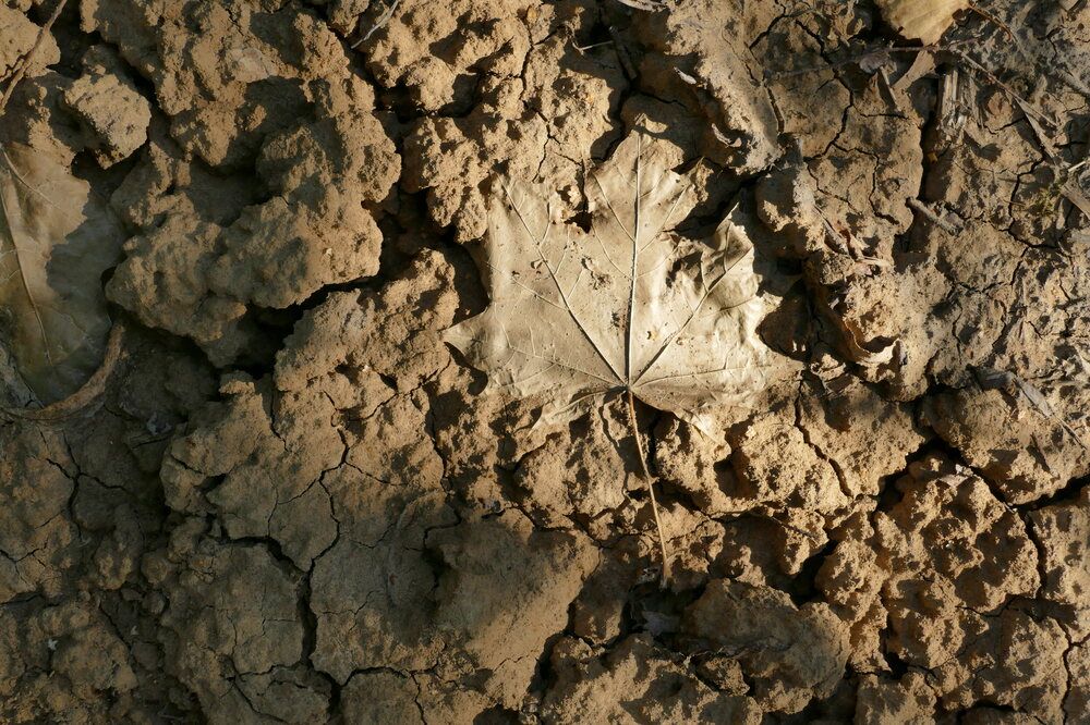 Photograph by Anastasia Perez