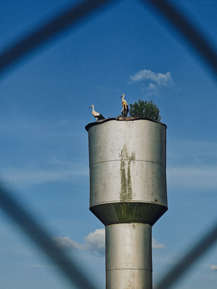 Photograph by Maria Stankevich