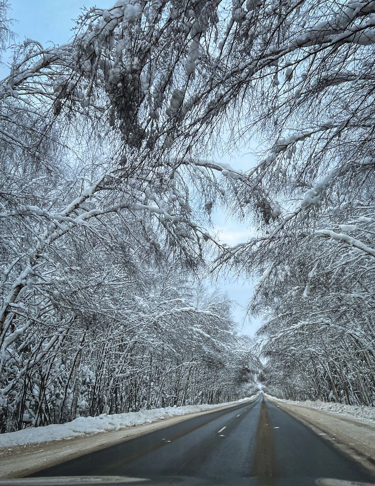 Photograph by Марина Нагичева