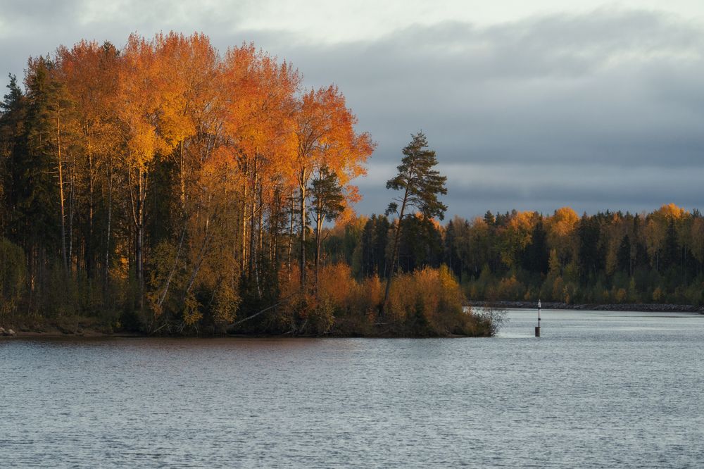 Photograph by Алексей Глухов