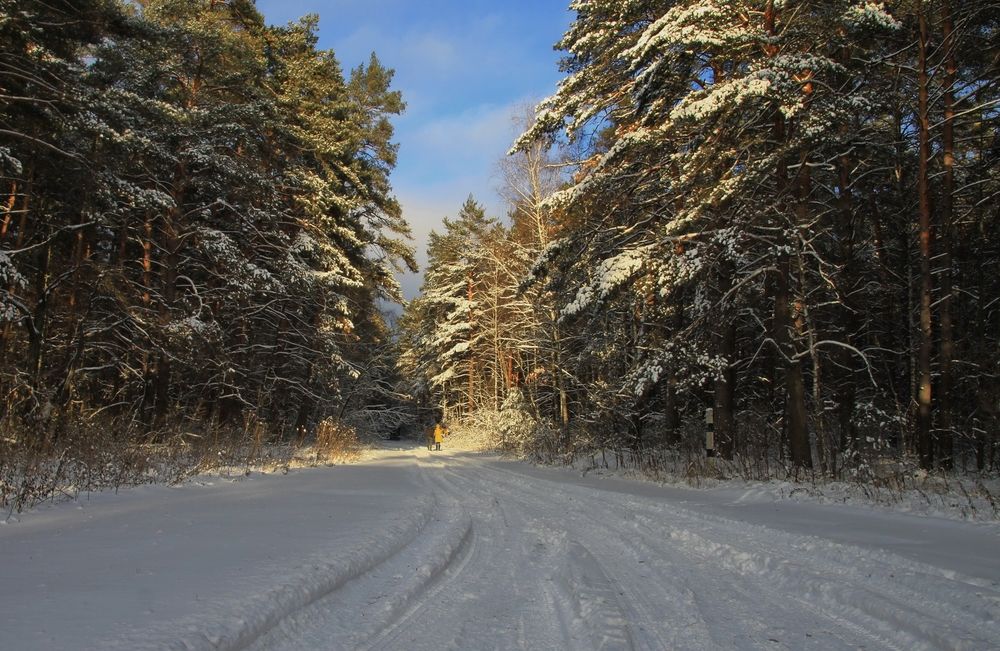 Вечерний променад