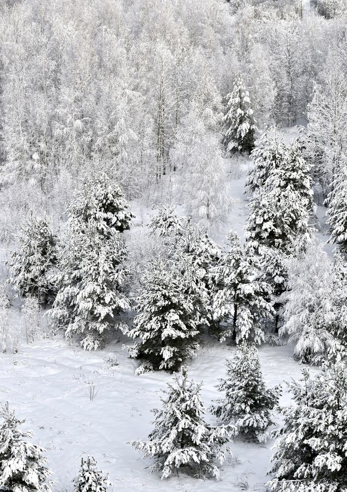 Photograph by Ольга Семина