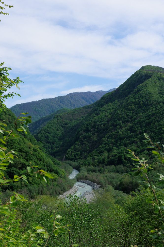 Фотография автора Fallen Angel