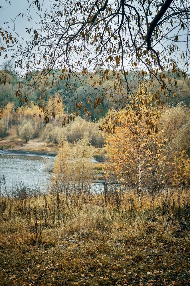 Photograph by Ольга Семина