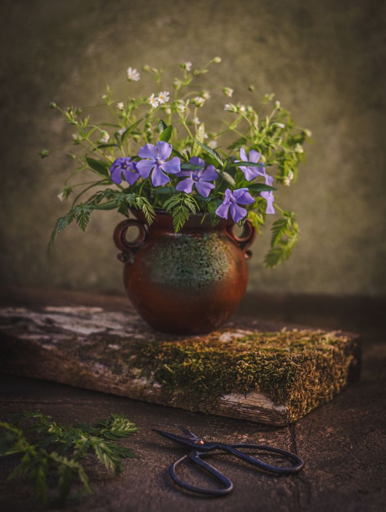 Photograph by Ольга Семина