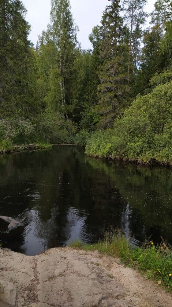 Фотография автора Дарья Петровская
