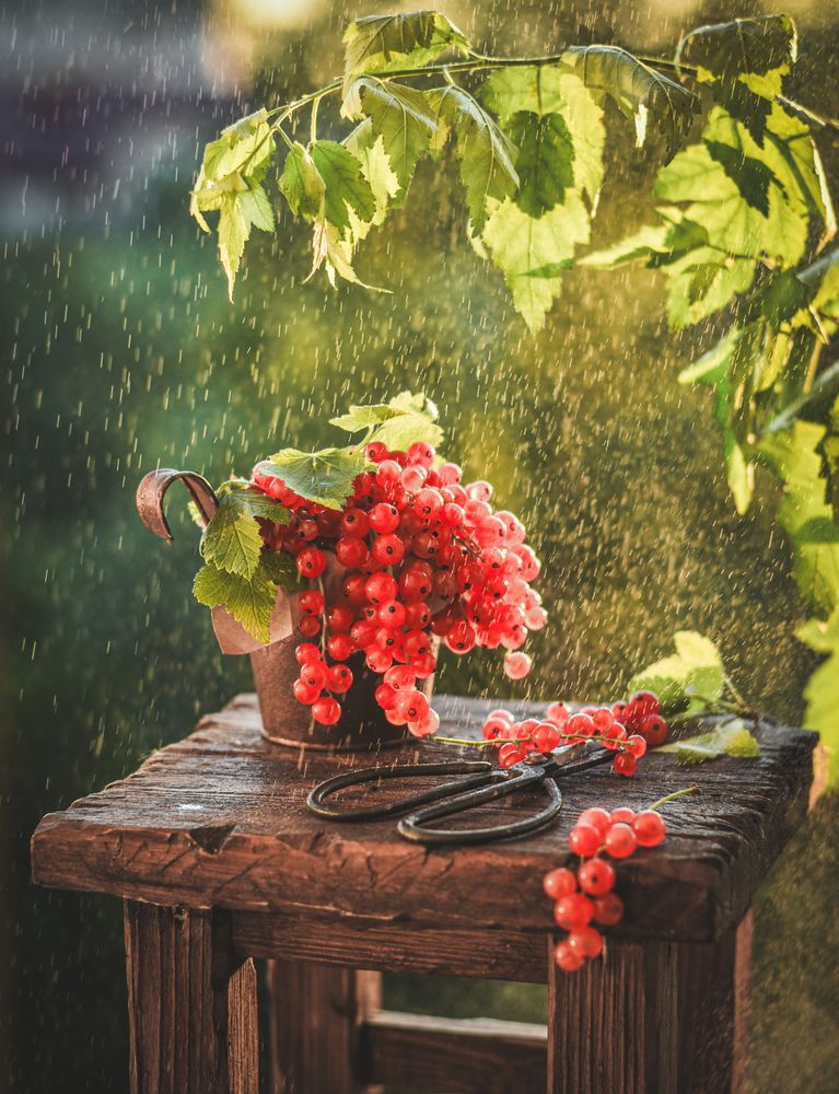 Photograph by Ольга Семина