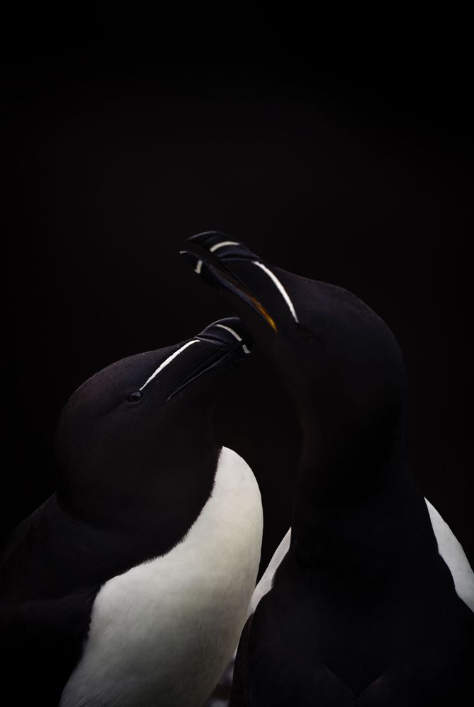 Photograph by Merche Llobera