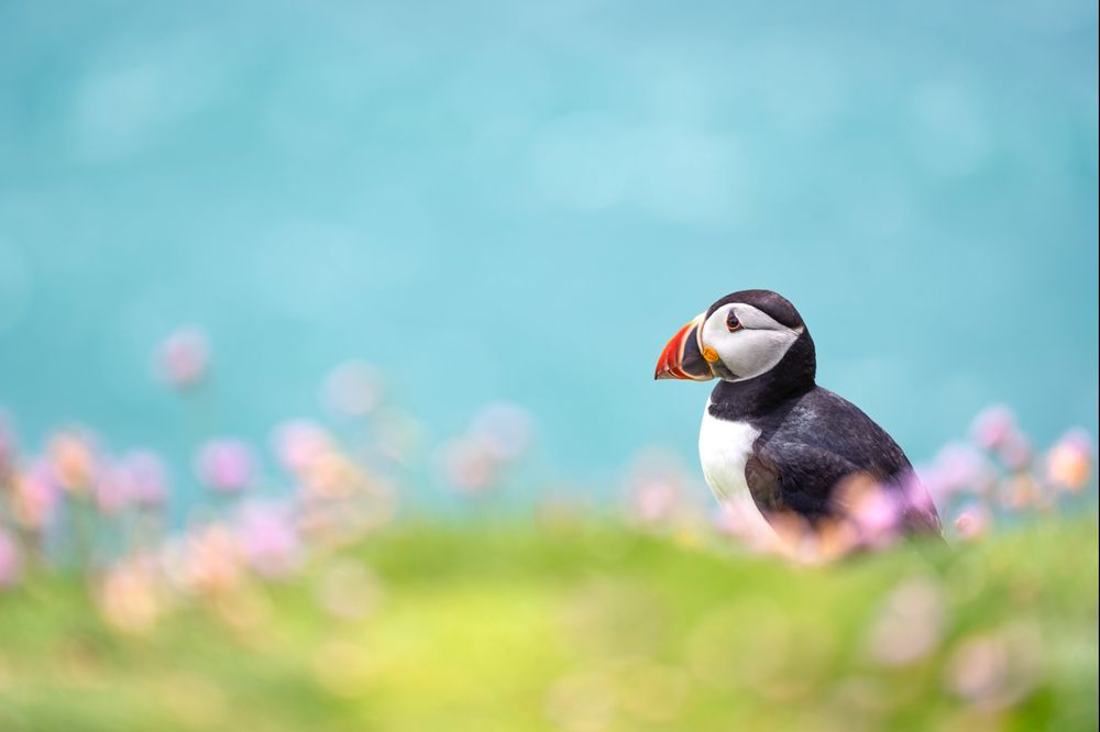 Photograph by Merche Llobera