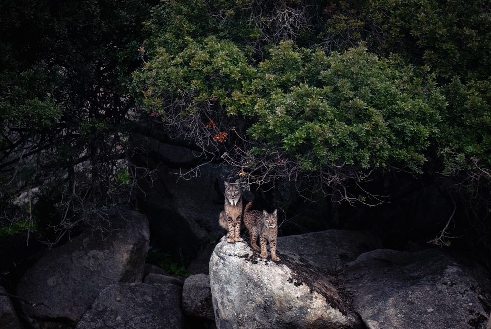 Photograph by Merche Llobera