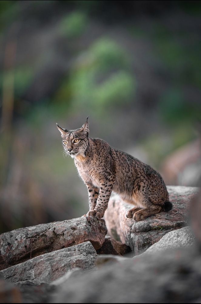 Photograph by Merche Llobera