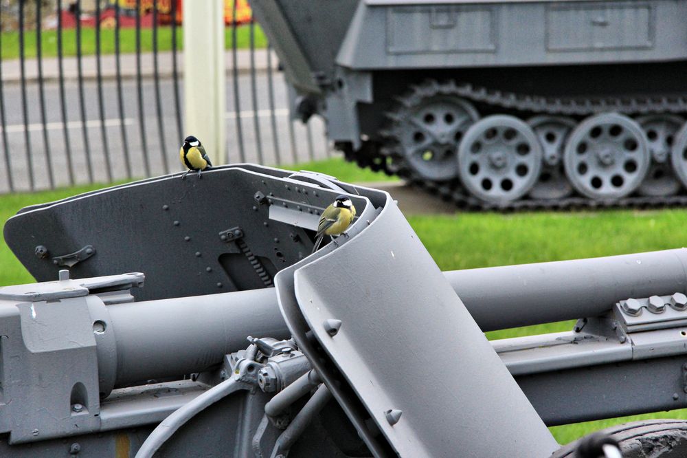 Photograph by Александр Малютин