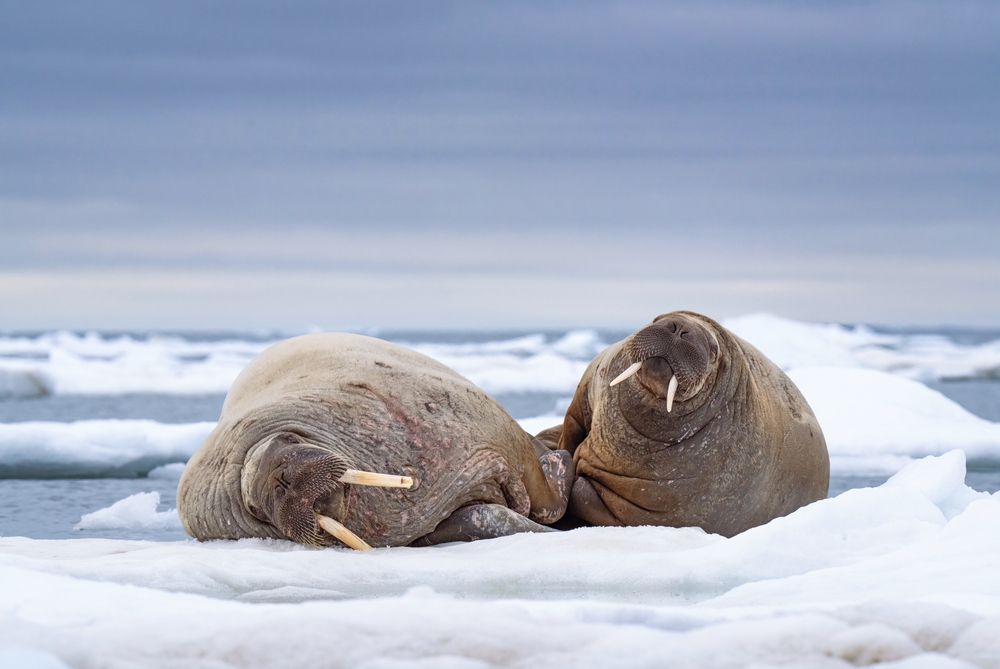 Photograph by Merche Llobera