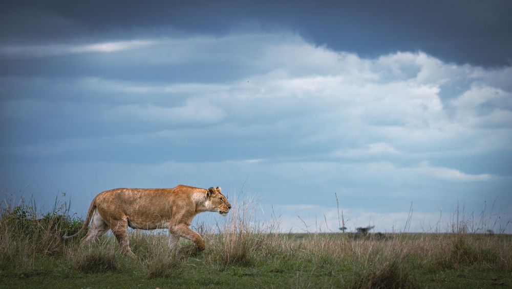 Photograph by Merche Llobera