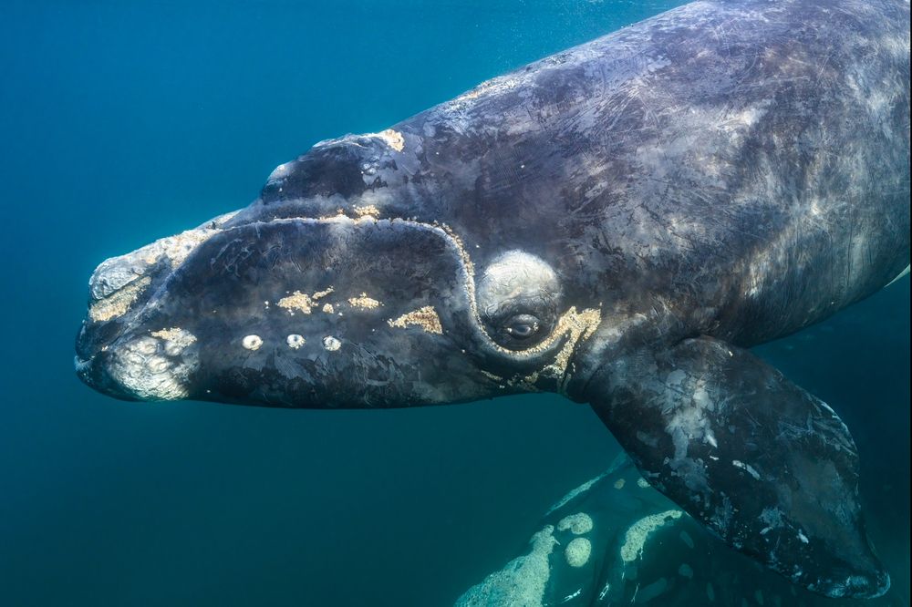 Photograph by Merche Llobera