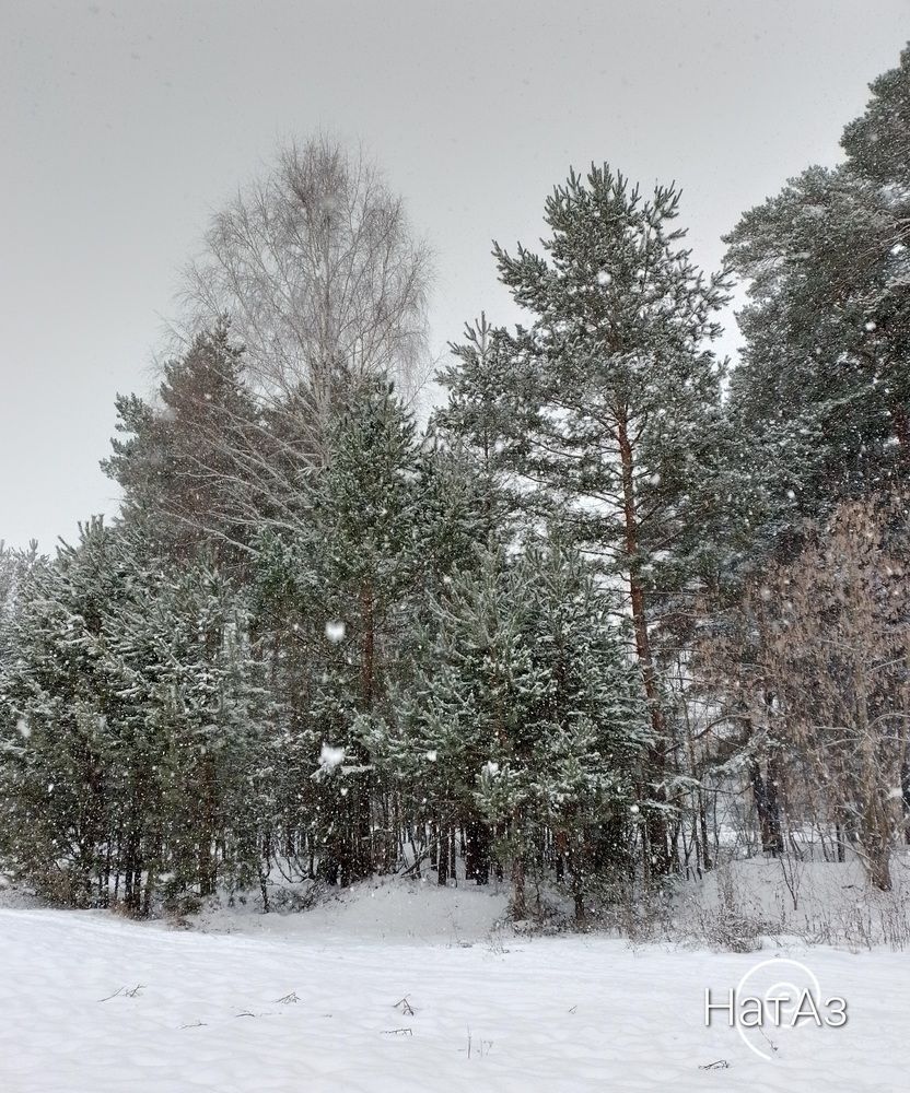 Photo #11807992