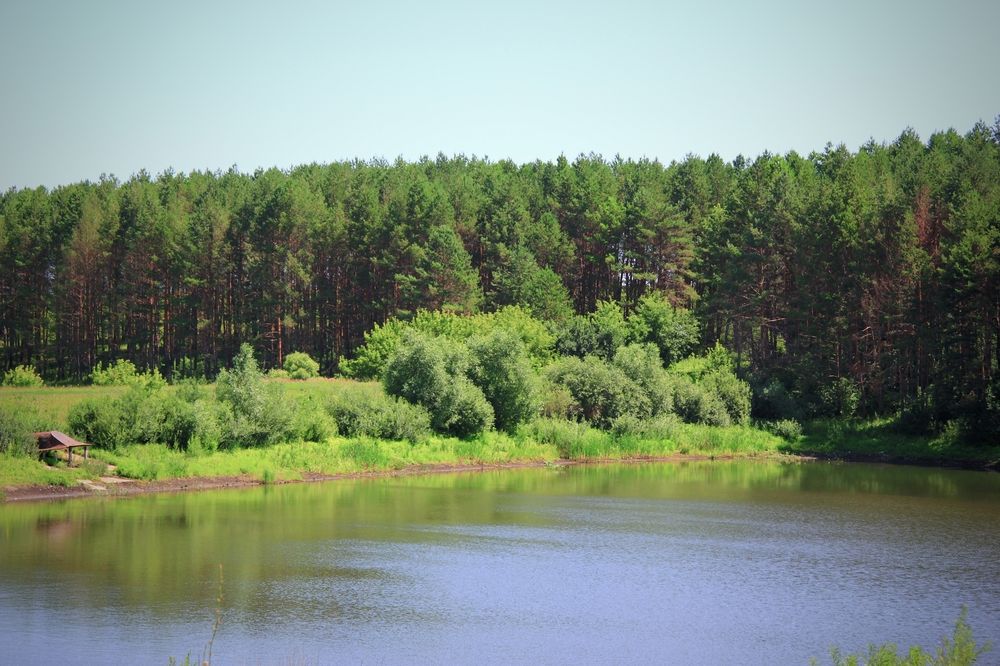 Photograph by Александр Малютин