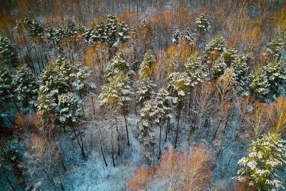 Фотография автора Totoro