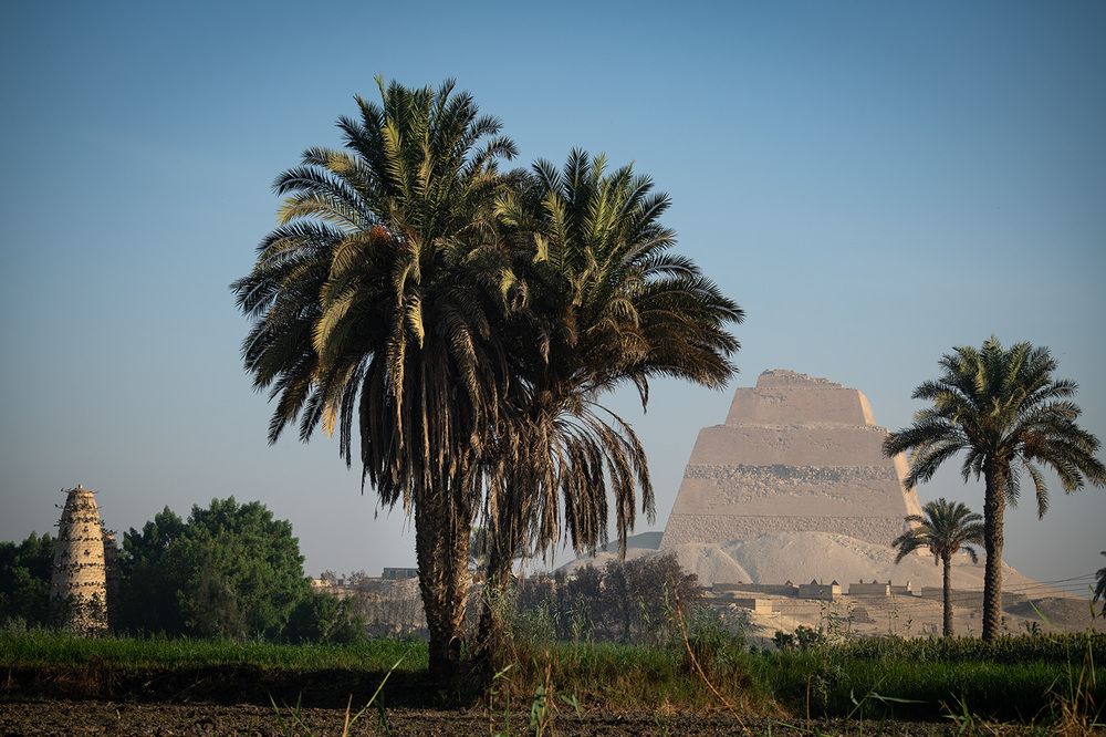 The palm and the pyramid