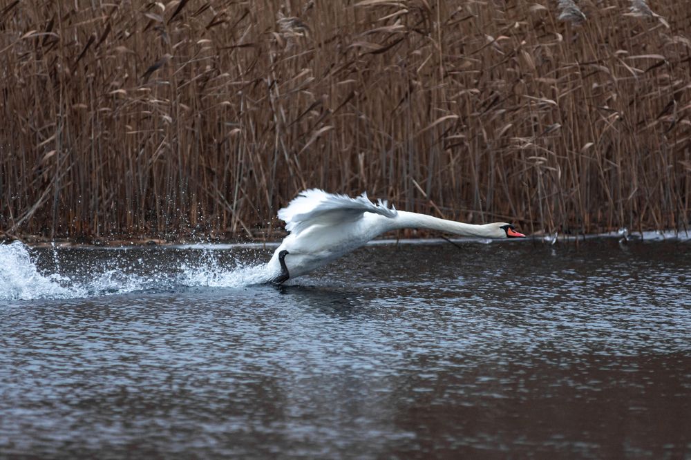 Photograph by Алексей Кузьмин
